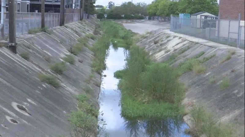 Overgrown canal near LSU scheduled for maintenance following report