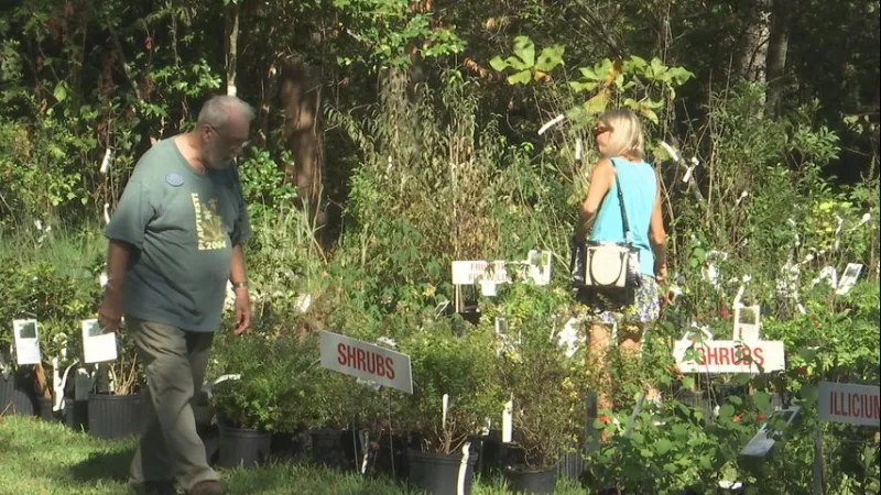 LSU's Hilltop Arboretum plant fest opens Saturday with more than 3,000 plants, 18 vendors