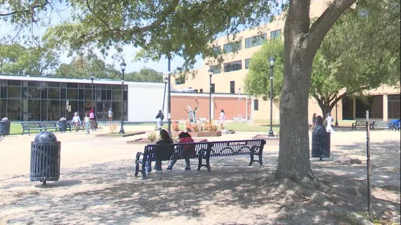 Louisiana adults can access free teletherapy through Southern University's Ag Center