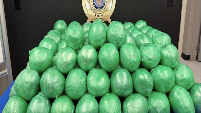 Man arrested in Livingston Parish for possessing than 360 pounds of meth pleads guilty in federal court