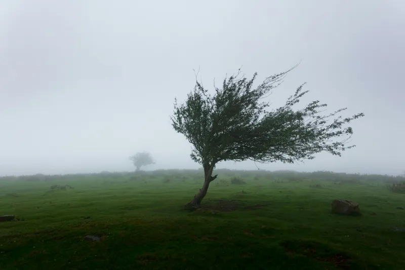 Strongest Sustained Wind Speed Recorded in Louisiana is Scary