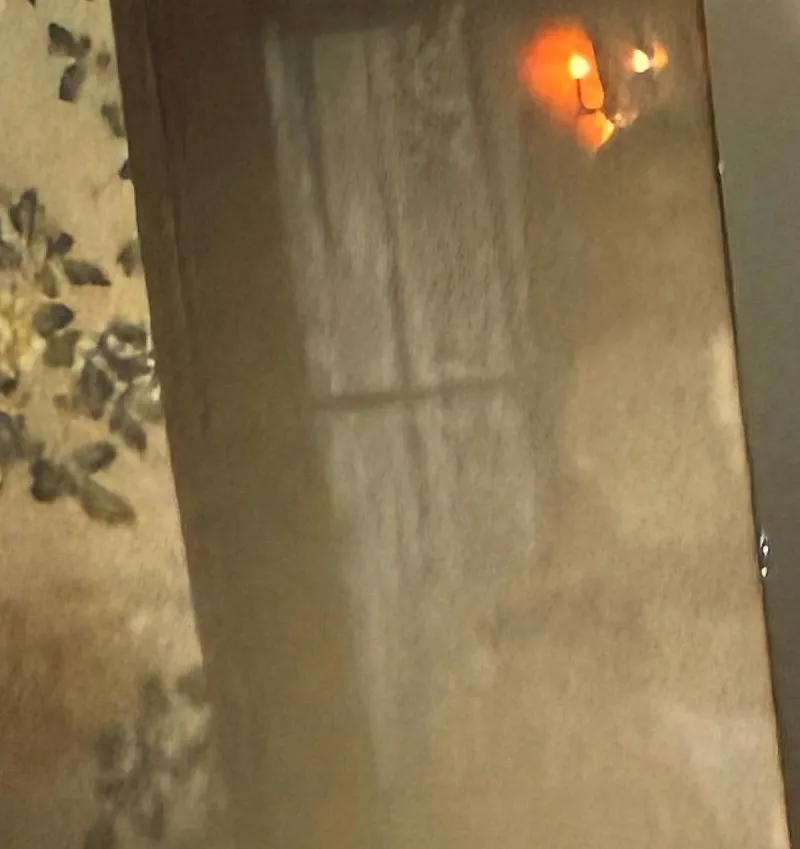 Terrifying Image Discovered in Old Myrtles Plantation Photo