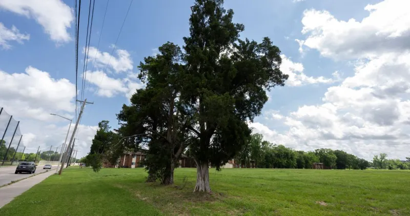 LEDA to hold groundbreaking for north Lafayette small business center