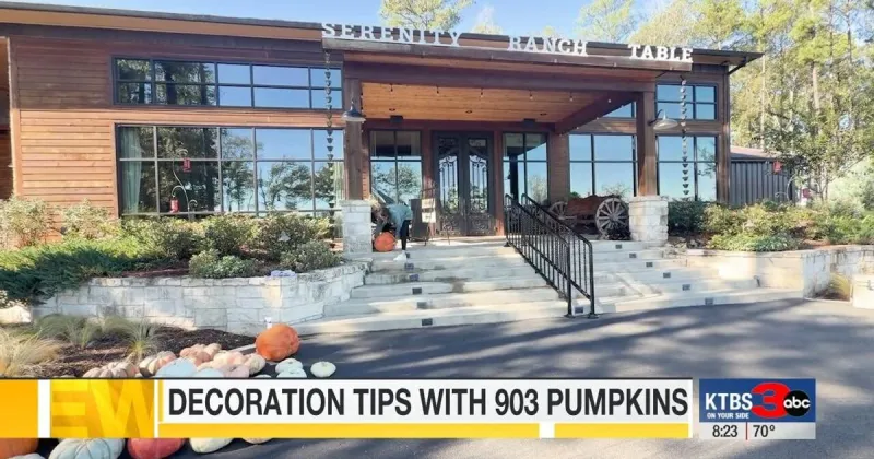 Decorating for fall with 903 Pumpkins