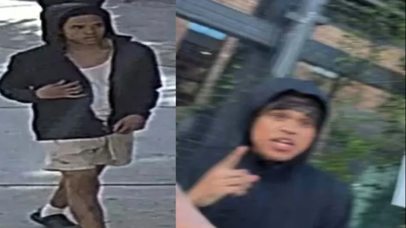 LSU police want public's help identifying man allegedly connected to battery incident