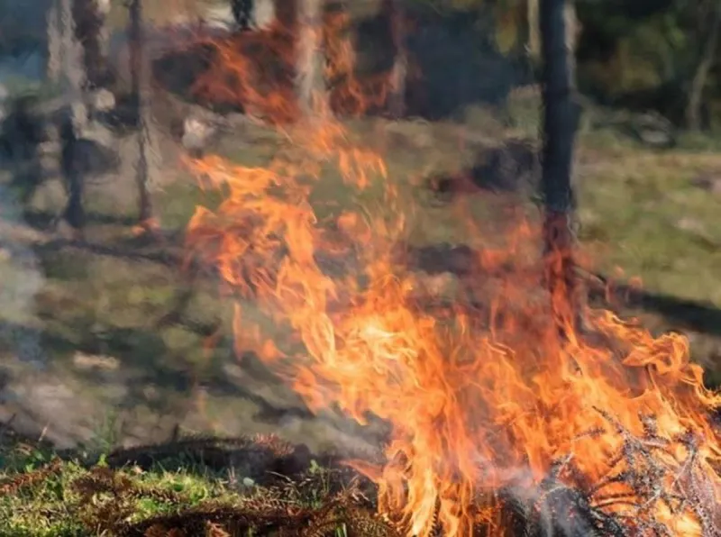 Burn Ban Spreads Across Northwest Louisiana as Drought Leaves Region Dangerously Dry