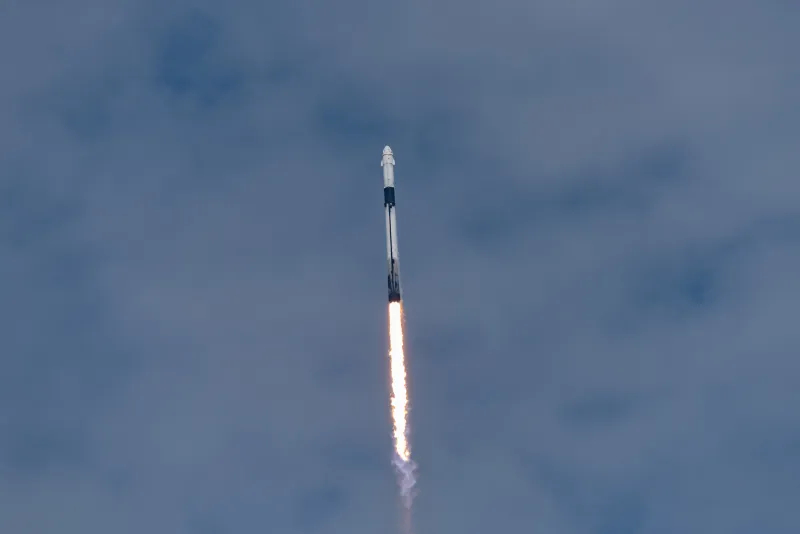 For Pecan Island, SpaceX's biggest unknowns hit close to home