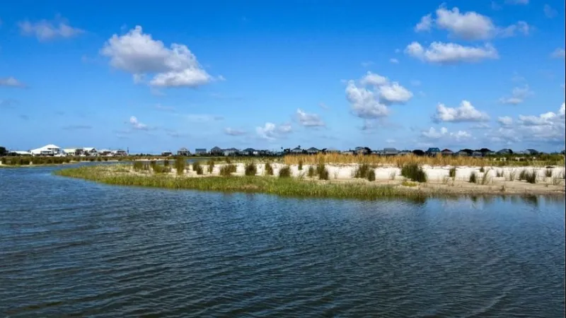 Study finds restored marshland reduces home flooding and insurance risk