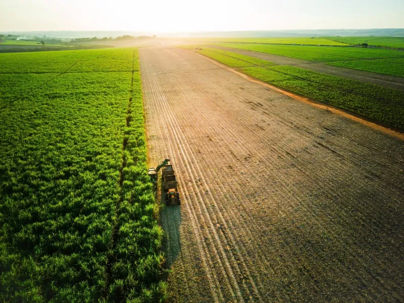 Roundup: Los Reyes on Lee closing / US home sales / Biofuel mandates