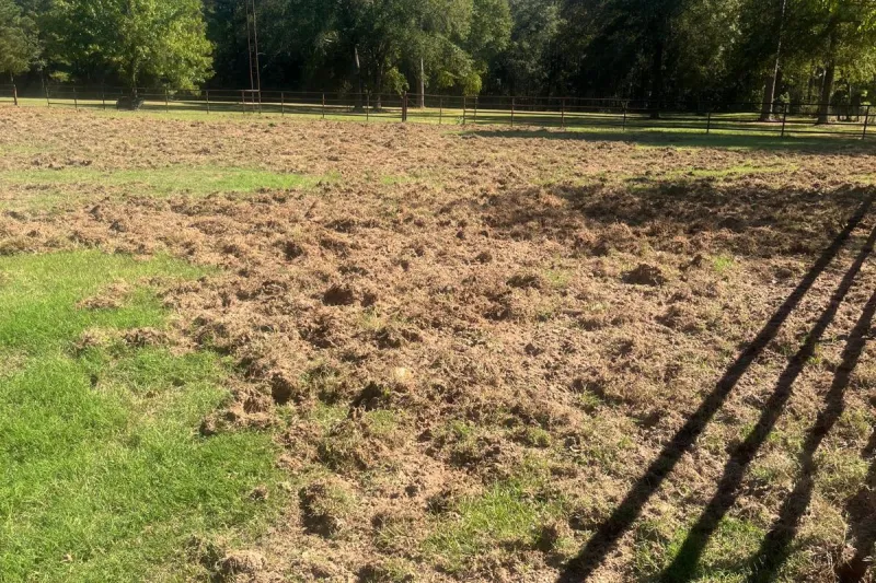 North Bossier Homeowner Shares Shocking Photos Of Hog Destruction