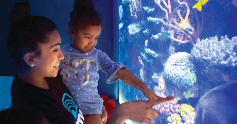 There's something fishy in Shreveport: Behind the scenes at the local aquarium
