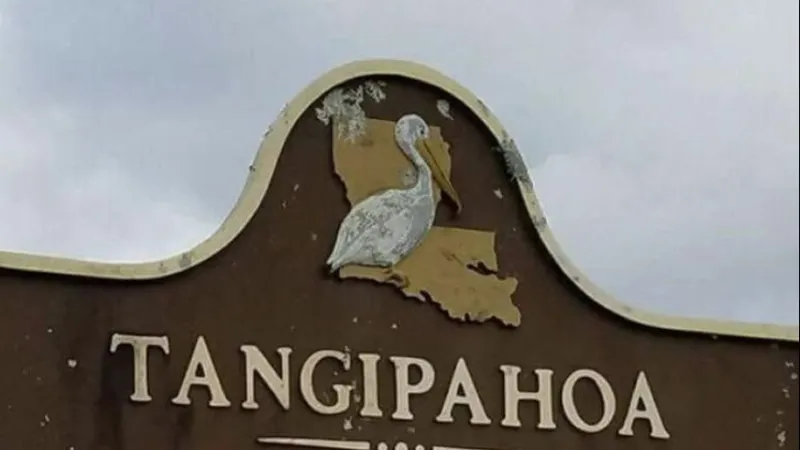 Village of Tangipahoa looking to 'make improvements' to community park