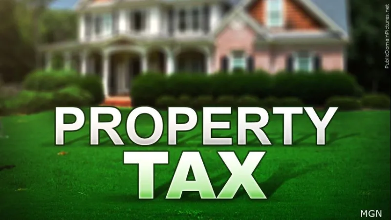 State Treasurer calling for an increase in state's homestead exemption