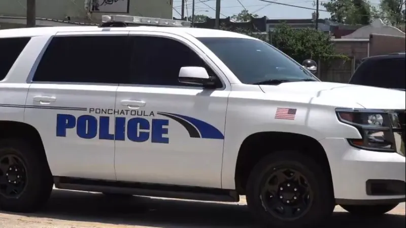 Four Ponchatoula homes hit by stray bullets, police asking public for tips