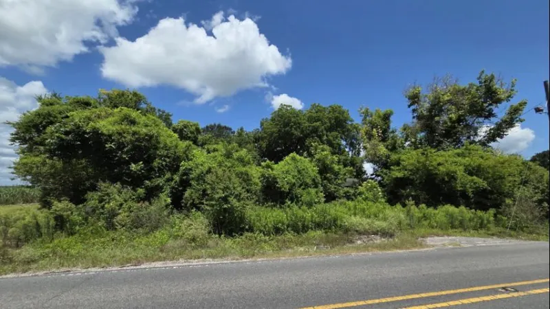 Iberville Parish crews cleaning up blight along White Castle highway