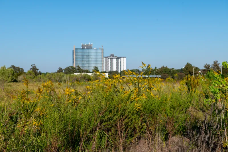 Moving past 'We're broke': why New Orleans can't cut its way to growth