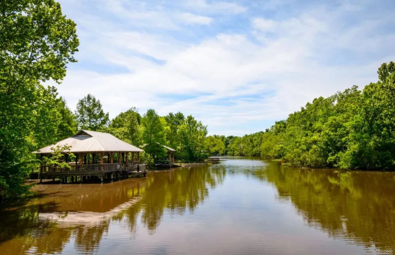 Free Louisiana State Parks Passport Program Explained