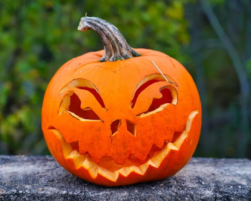 Pumpkin Prices - How Scary Are Those This Halloween?