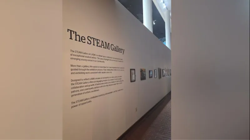 LASM invites middle and high school students to submit art for 2027 STEAM Gallery