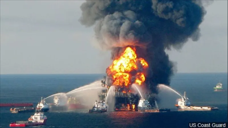 Marine life dramatically declined in Gulf of Mexico in years after BP oil spill, study finds
