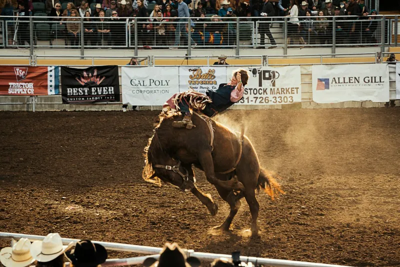 Everything You Need to Know About the 2026 LRCA State Fair Rodeo