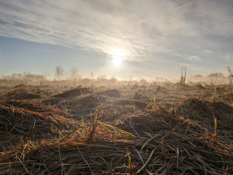 Your Home Could Be Invaded During Louisiana Dry Spell