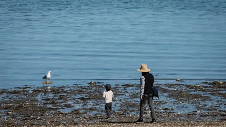 Here are the Mass. beaches closed Wednesday as temps hit the high 80s