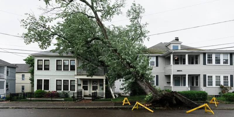 Storm knocks out power, topples tree in Swampscott