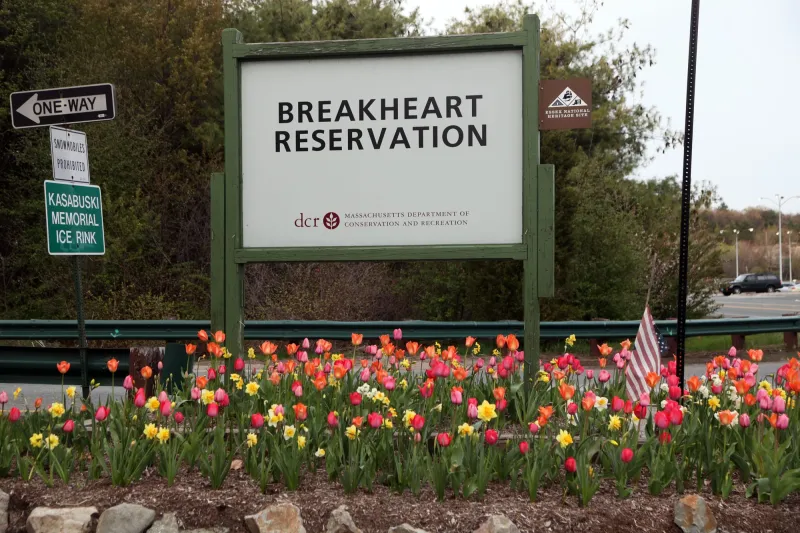 Saugus announces inaugural Wellness Collective Walk at Breakheart