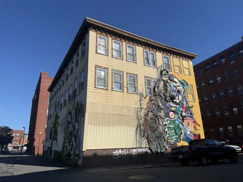 Artwork by Bordalo II continues to captivate Lynn