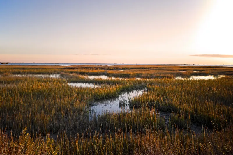 A plan to preserve wetlands without stopping development