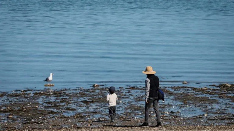 As the weather heats up again, here are the Mass. beaches closed Tuesday