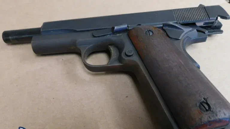 Brockton teen arrested after shots fired in Hyde Park, police say