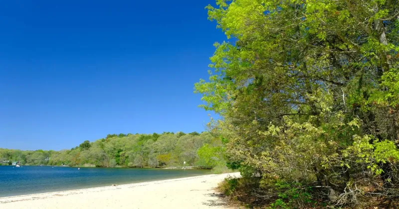 22-Year-Old Dies After Being Pulled From Mashpee-Wakeby Pond
