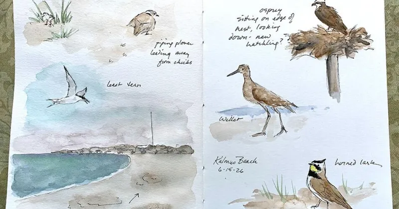 Nature Watch: Things Are Heating Up