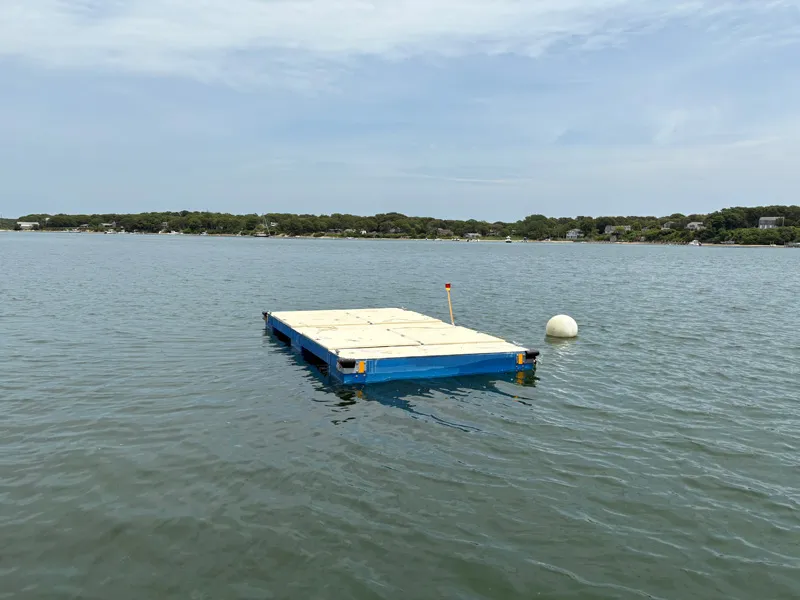 Shellfish departments adapt after a slow season for bay scallops