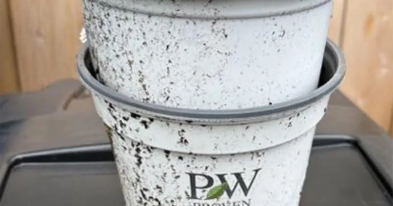 Recycling Tip: Plastic Plant Pots--Nope!
