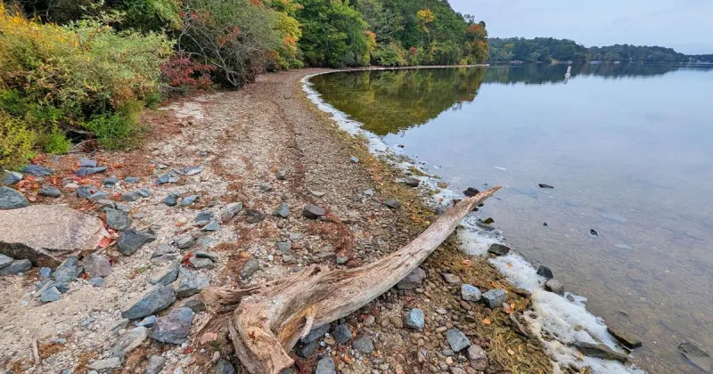 Assessment OK'd For Johns And Moody Ponds