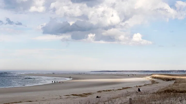 As heat wave looms, more beaches close due to sewage spill