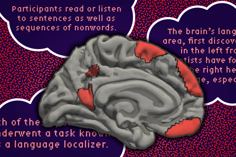 The brain's language network is more extensive than previously thought