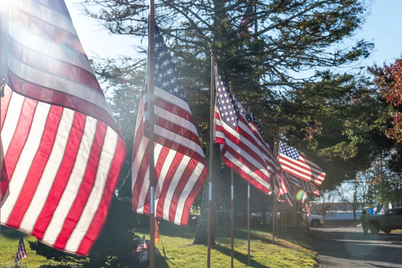 Voices on freedom