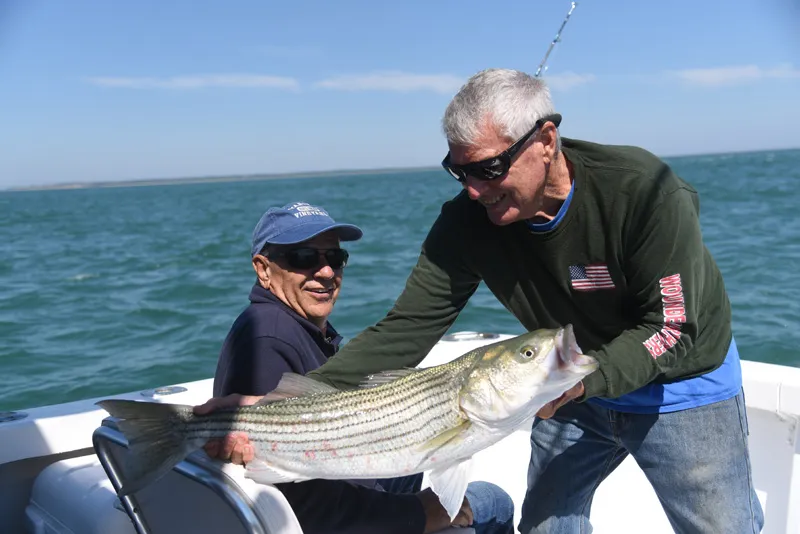 Shifting season for stripers