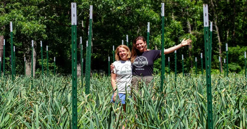 Farming Falmouth Celebrates One Year Of The Patch
