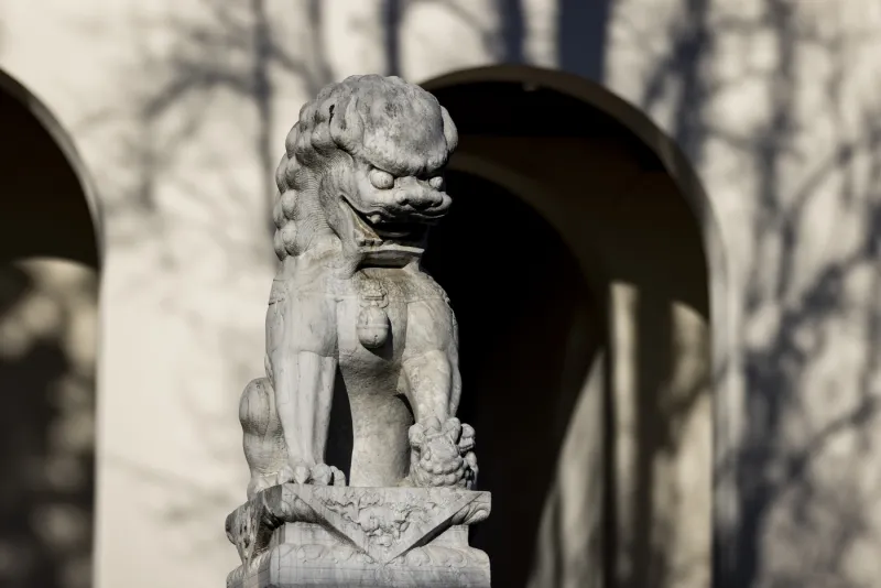 The Ming Dynasty lion-dogs guarding the Oakland art museum