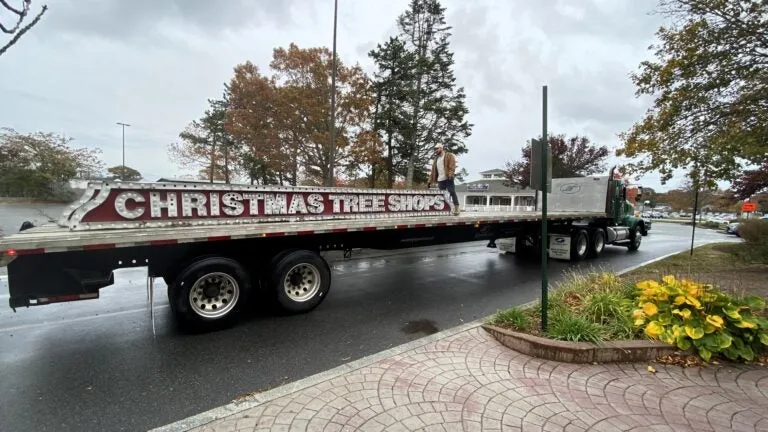 Iconic Christmas Tree Shops signs are headed to auction