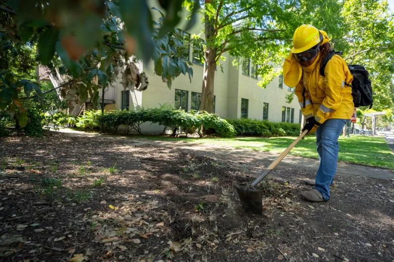 Rising high schoolers study wildfires amid historic dry season