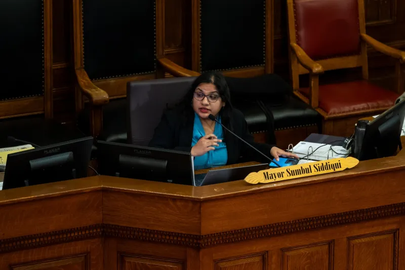 Cambridge Mayor Sumbul Siddiqui Endorses Lander's State Senate Challenge