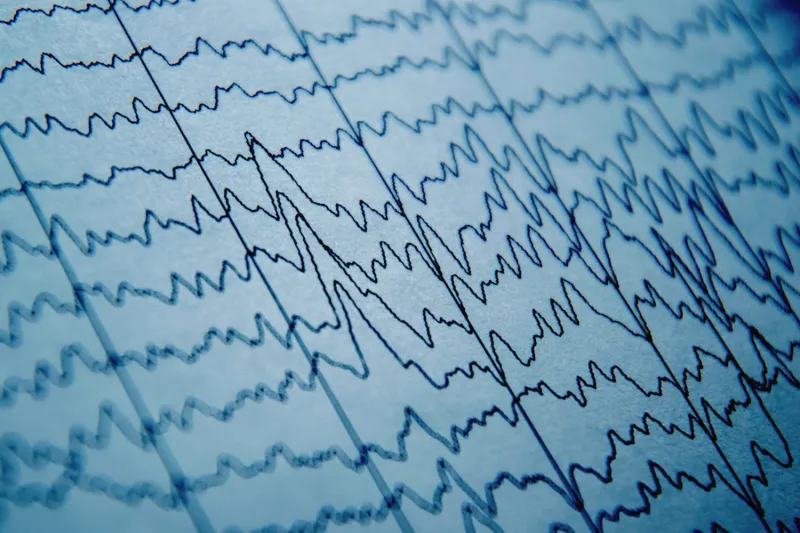 Electric fields help guide neural activity, even from moment to moment