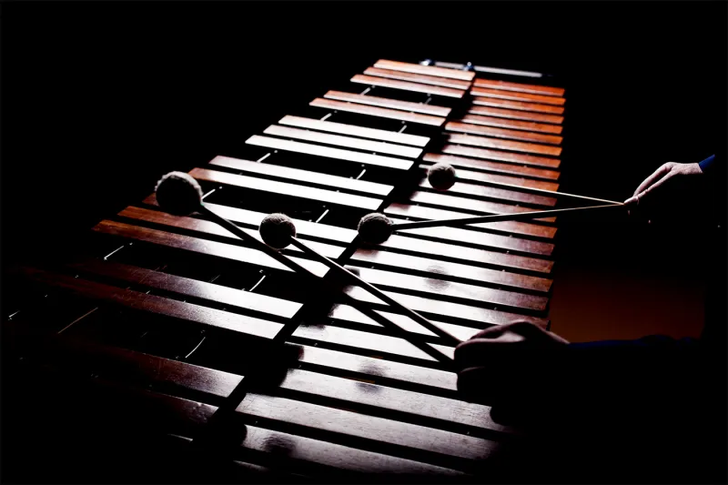 What's that sound? Possibly a more sustainable, affordable marimba