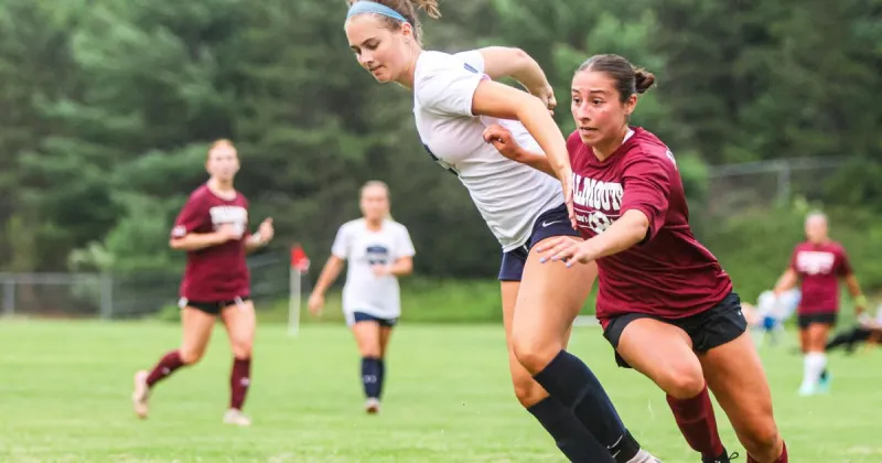 Sandwich Ladies Top Falmouth